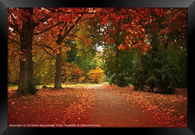 Red Autumn Tree Lined Path Framed Print by Christine Kerioak