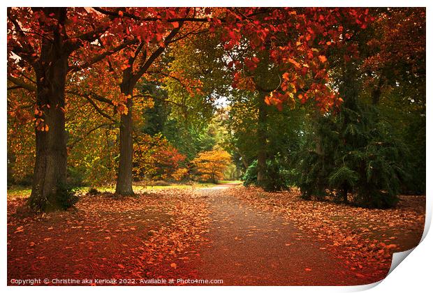 Red Autumn Tree Lined Path Print by Christine Kerioak