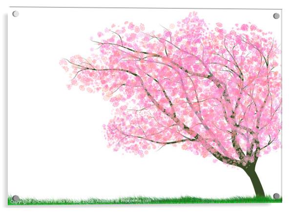 Tree Illustration with Pink Blossom Acrylic by Christine Kerioak