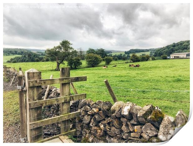 Yorkshire Dales Farm Gate and Drystone Wall Print by Julie Gresty