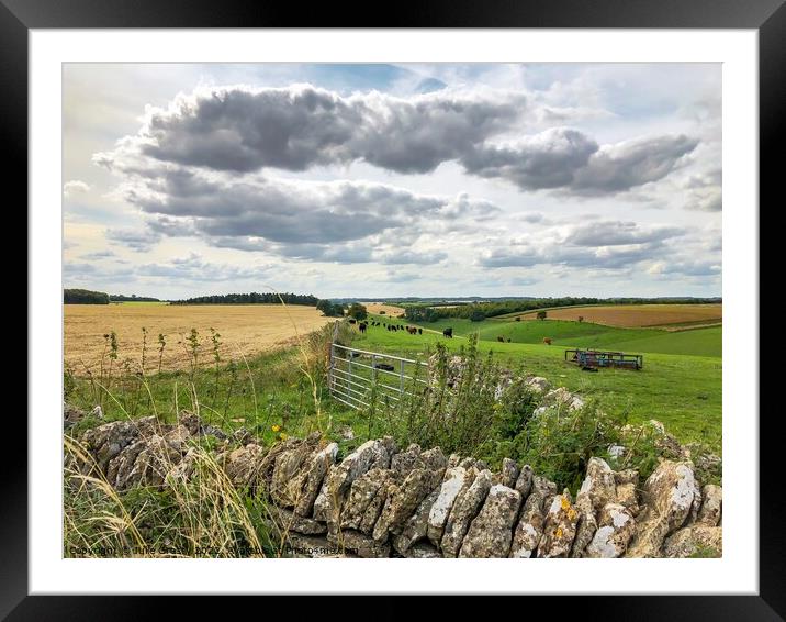 Yorkshire Dales Farm Gate with Dry-Stone Wall Framed Mounted Print by Julie Gresty