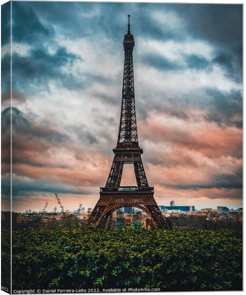 Trocadero Eiffel Tower Viewpoint, Paris Canvas Print by Daniel Ferreira-Leite