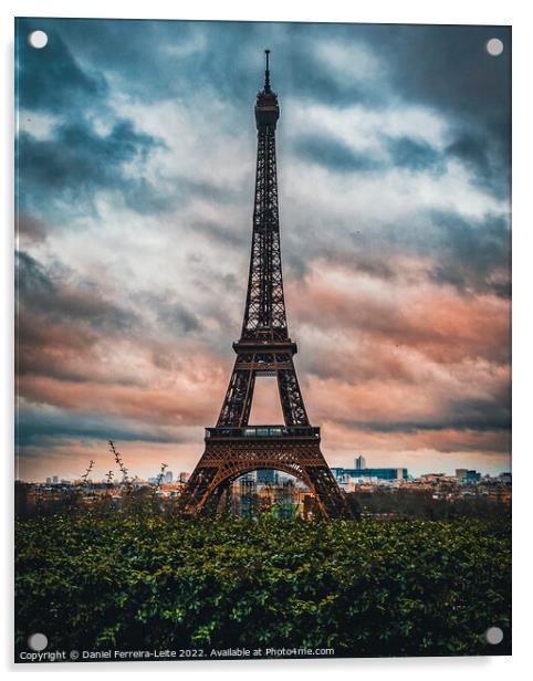 Trocadero Eiffel Tower Viewpoint, Paris Acrylic by Daniel Ferreira-Leite