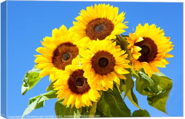 Five Bright Sunflowers Canvas Print by Christine Kerioak