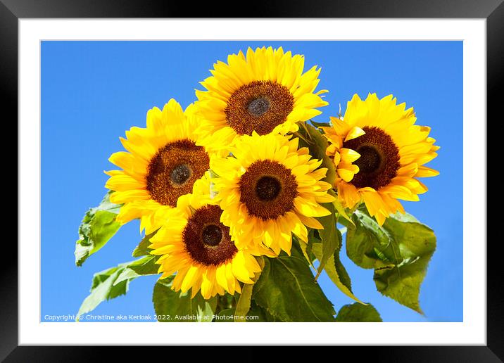 Five Bright Sunflowers Framed Mounted Print by Christine Kerioak