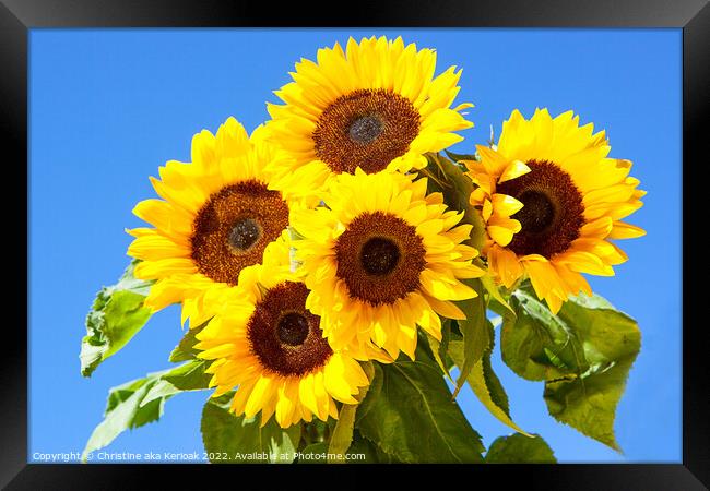 Five Bright Sunflowers Framed Print by Christine Kerioak