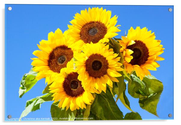 Five Bright Sunflowers Acrylic by Christine Kerioak