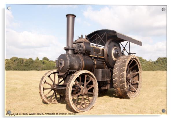 Ancient steam tractor Acrylic by Sally Wallis