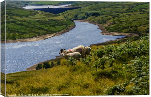 Scar House Reservoir with Grazing Sheep in the Foreground. Canvas Print by Steve Gill