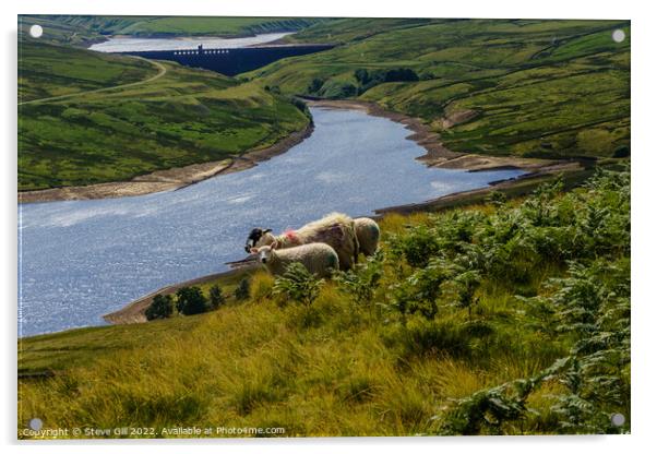Scar House Reservoir with Grazing Sheep in the Foreground. Acrylic by Steve Gill