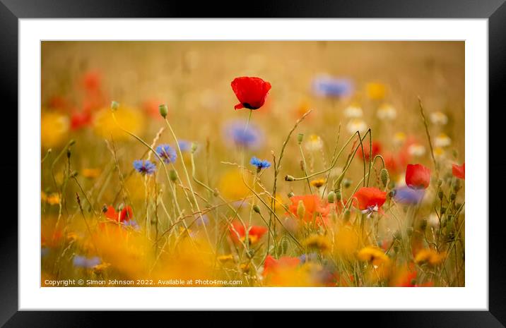 Poppy and meadow flowers Framed Mounted Print by Simon Johnson