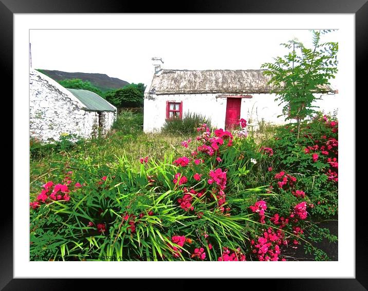 Abandoned cottage Framed Mounted Print by Stephanie Moore