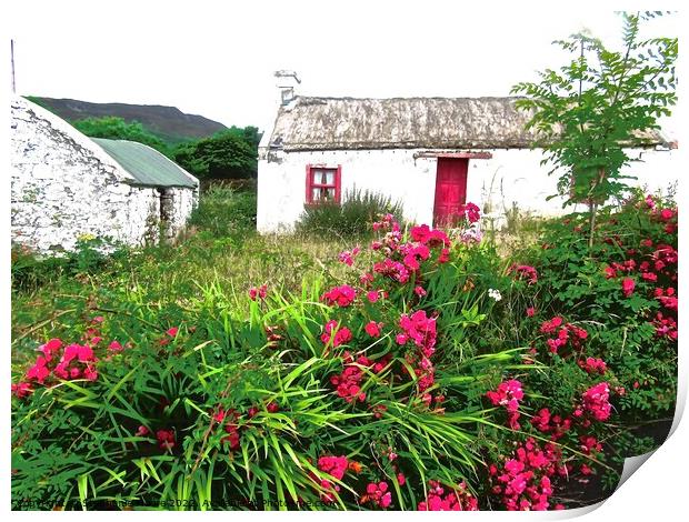 Abandoned cottage Print by Stephanie Moore