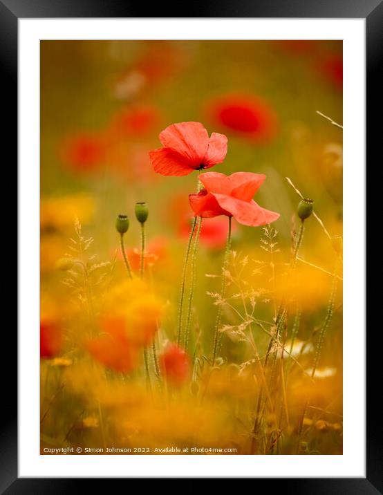  Two poppies Framed Mounted Print by Simon Johnson