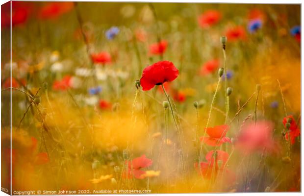 Poppies and meadow flowers  Canvas Print by Simon Johnson