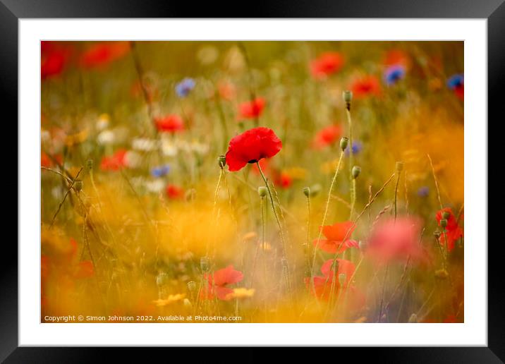 Poppies and meadow flowers  Framed Mounted Print by Simon Johnson