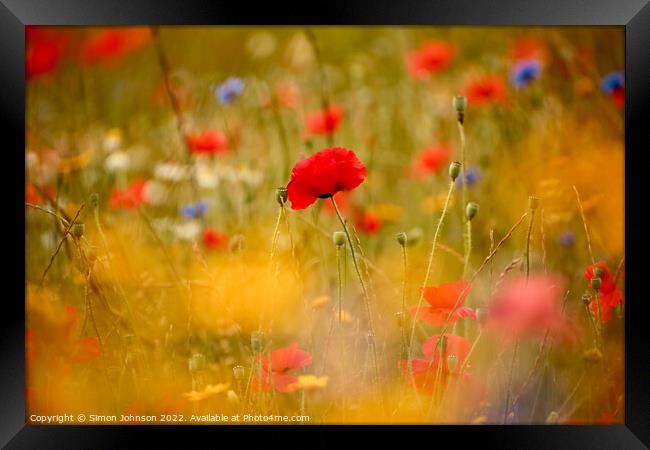 Poppies and meadow flowers  Framed Print by Simon Johnson