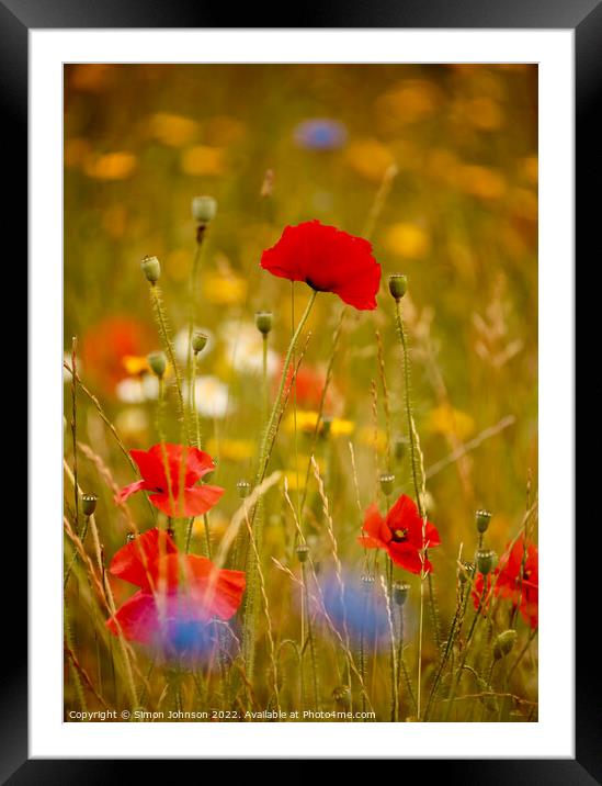 Poppy and meadow flowers  Framed Mounted Print by Simon Johnson