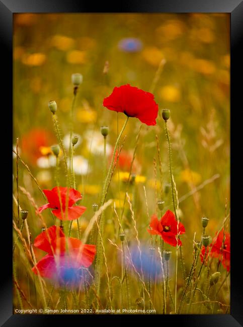Poppy and meadow flowers  Framed Print by Simon Johnson