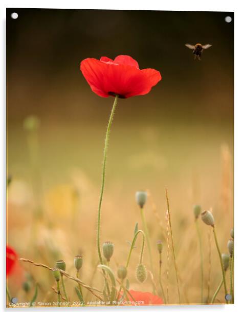 Poppy with bee Acrylic by Simon Johnson