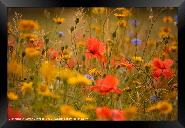 Poppies and meadow flowers  Framed Print by Simon Johnson