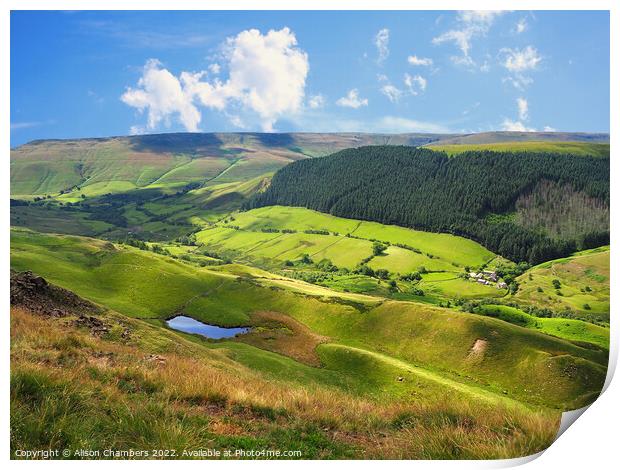 Alport Dale Derbyshire  Print by Alison Chambers