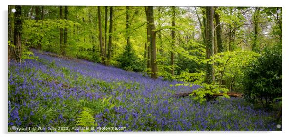 Bluebell forest Acrylic by Gale Jolly