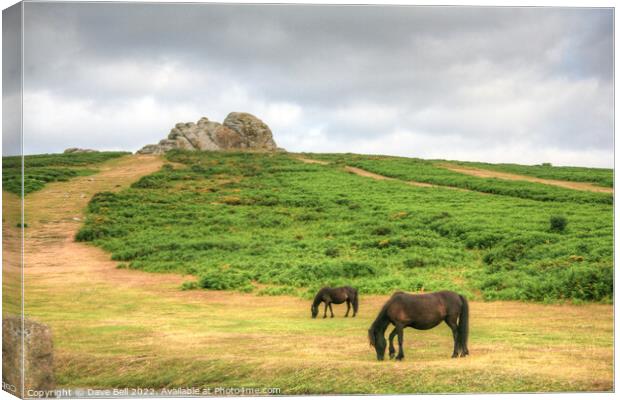Dartmoor Ponies Graze below Haytor Rock Canvas Print by Dave Bell
