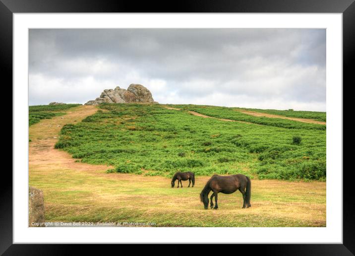 Dartmoor Ponies Graze below Haytor Rock Framed Mounted Print by Dave Bell