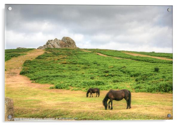 Dartmoor Ponies Graze below Haytor Rock Acrylic by Dave Bell