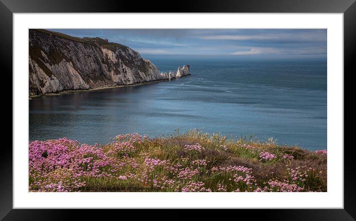 The Needles, Isle of Wight Framed Mounted Print by Paul Smith