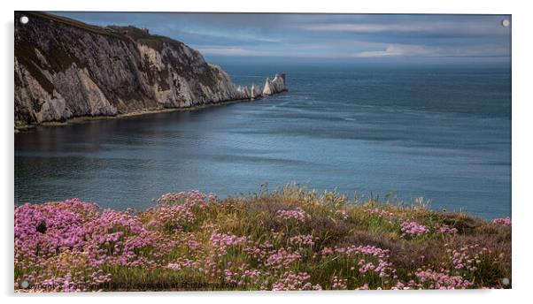 The Needles, Isle of Wight Acrylic by Paul Smith