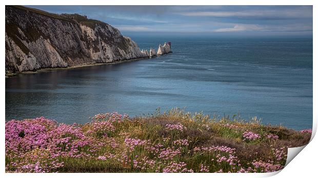 The Needles, Isle of Wight Print by Paul Smith