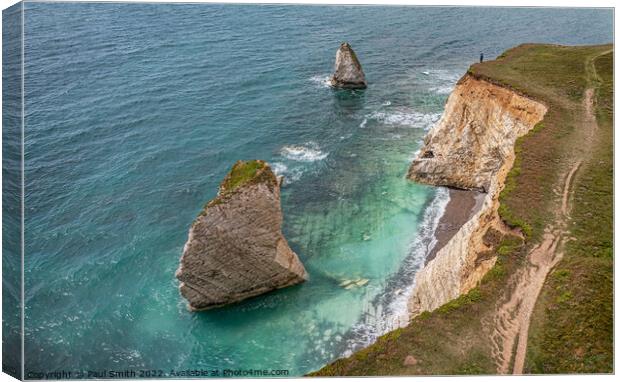 Freshwater Bay by Drone Canvas Print by Paul Smith
