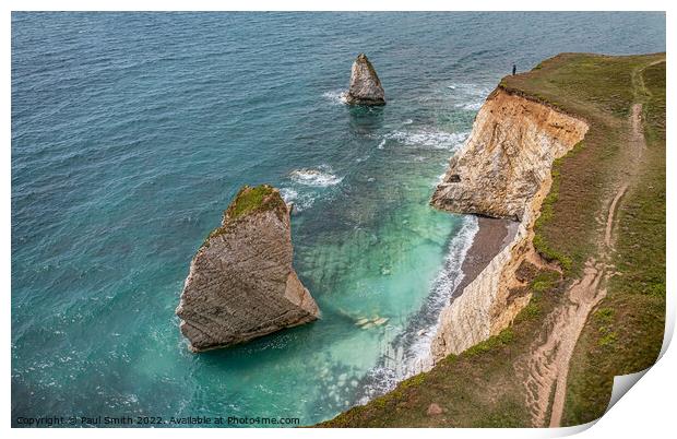 Freshwater Bay by Drone Print by Paul Smith