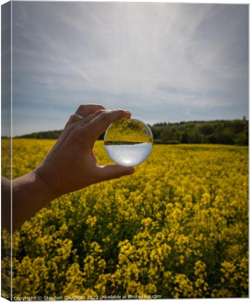 Rapeseed Field through Lensball Canvas Print by Stephen Coughlan