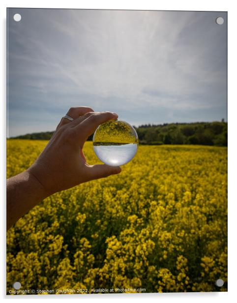 Rapeseed Field through Lensball Acrylic by Stephen Coughlan