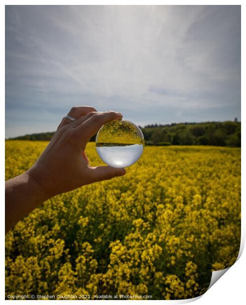 Rapeseed Field through Lensball Print by Stephen Coughlan