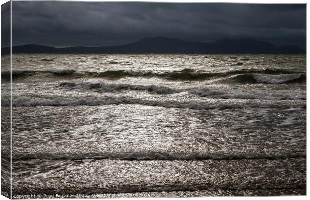 Seascape Coast Waves Ocean Black and White Canvas Print by Pearl Bucknall