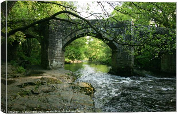 Stone Bridge across the River Dart Canvas Print by Dave Bell