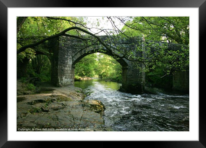 Stone Bridge across the River Dart Framed Mounted Print by Dave Bell