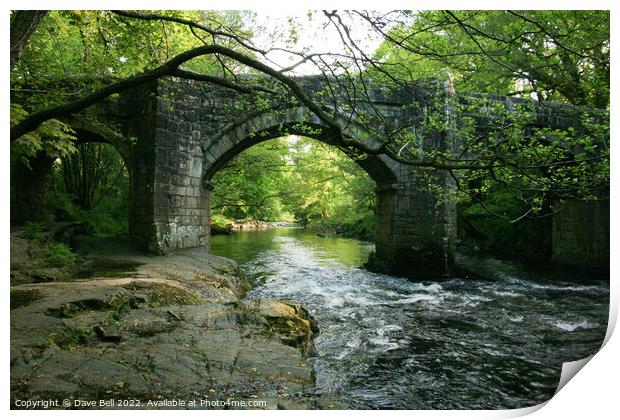 Stone Bridge across the River Dart Print by Dave Bell