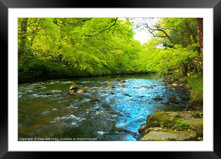 The River Dart Flows Wide in The Spring at Spitchw Framed Mounted Print by Dave Bell
