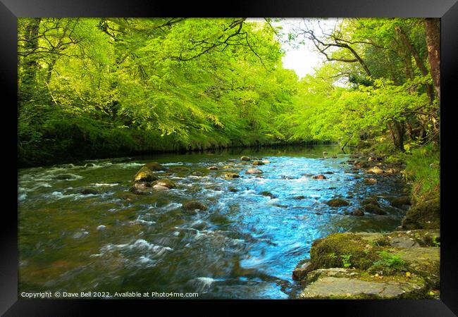 The River Dart Flows Wide in The Spring at Spitchw Framed Print by Dave Bell