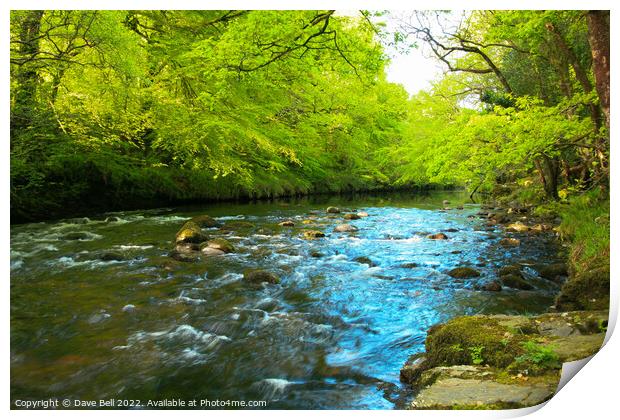The River Dart Flows Wide in The Spring at Spitchw Print by Dave Bell