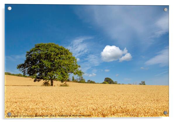 Lone Oak in Wheat Field Acrylic by Christine Kerioak
