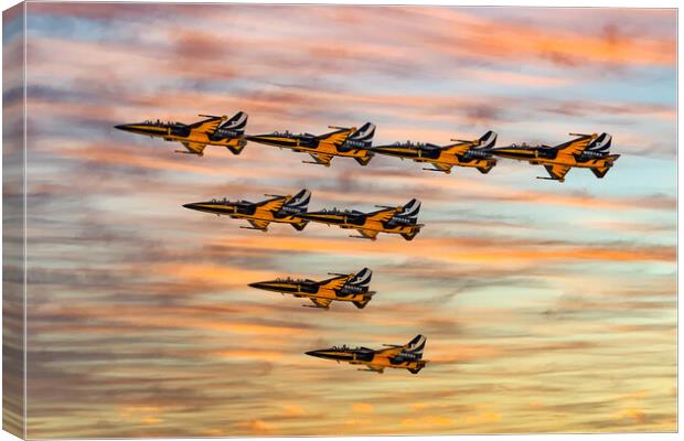 The Black Eagles Canvas Print by Roger Green