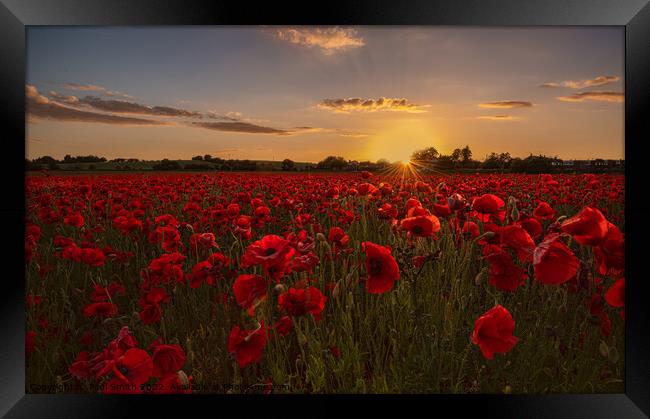 Poppy Field Sunset Framed Print by Paul Smith