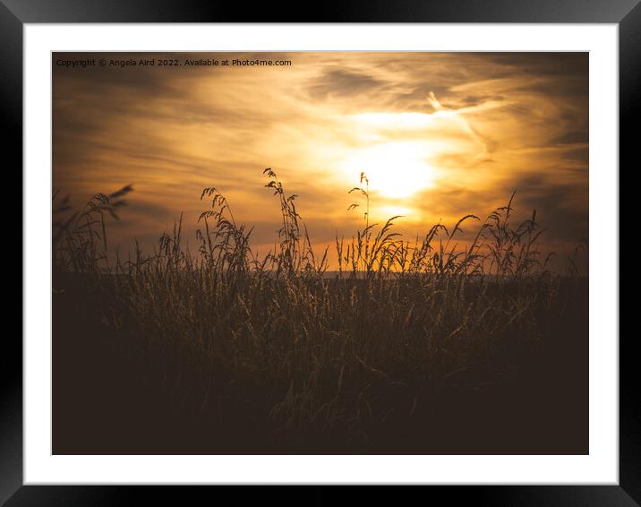 Sunset.  Framed Mounted Print by Angela Aird
