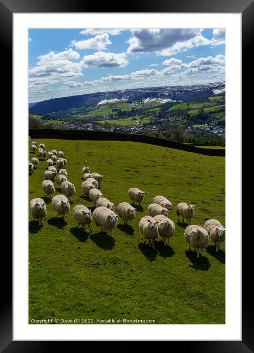 Herd of Sheep in a Field with Snow Covered Hills Near Harrogate. Framed Mounted Print by Steve Gill